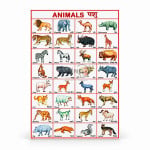 Animals Chart